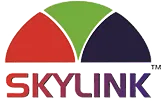 Skylink Clocks